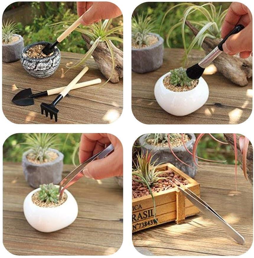 Juego de Herramientas para Jardín de Plantas Suculentas con Botella Pulverizadora y Accesorios para el Jardín de Plantas Suculentas