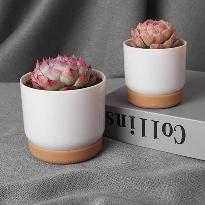 Maceta Autorriego para Orquídeas y Plantas - Maceta de Plástico Maceta Autorriego para Orquídeas y Plantas - Maceta de Plástico