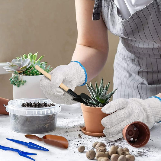Juego de Herramientas para Jardín de Plantas Suculentas con Botella Pulverizadora y Accesorios para el Jardín de Plantas Suculentas