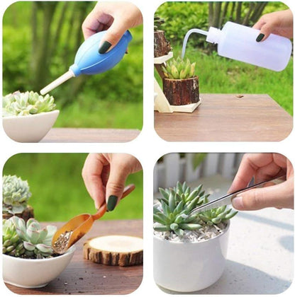 Juego de Herramientas para Jardín de Plantas Suculentas con Botella Pulverizadora y Accesorios para el Jardín de Plantas Suculentas