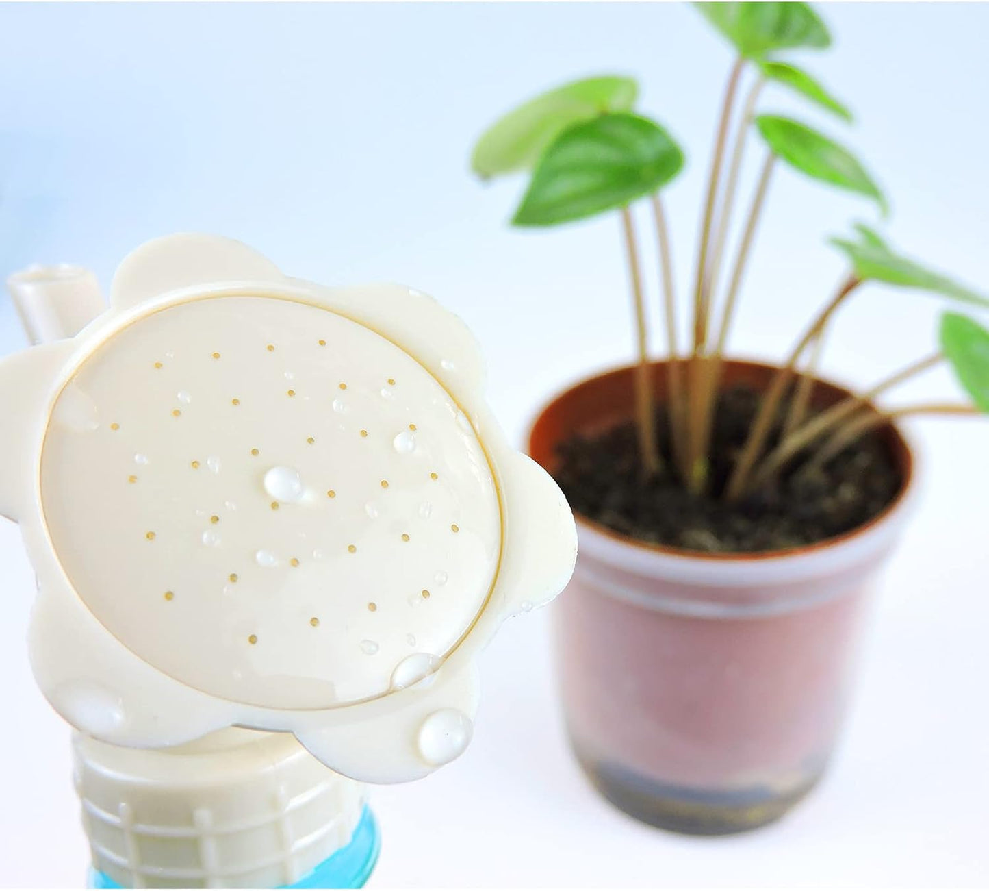 Pulverizador Para Plantas Con Forma De Flor Una Ayuda Creativa Para Regar Las Plantas Del Jardín Pulverizador Para Plantas Con Forma De Flor