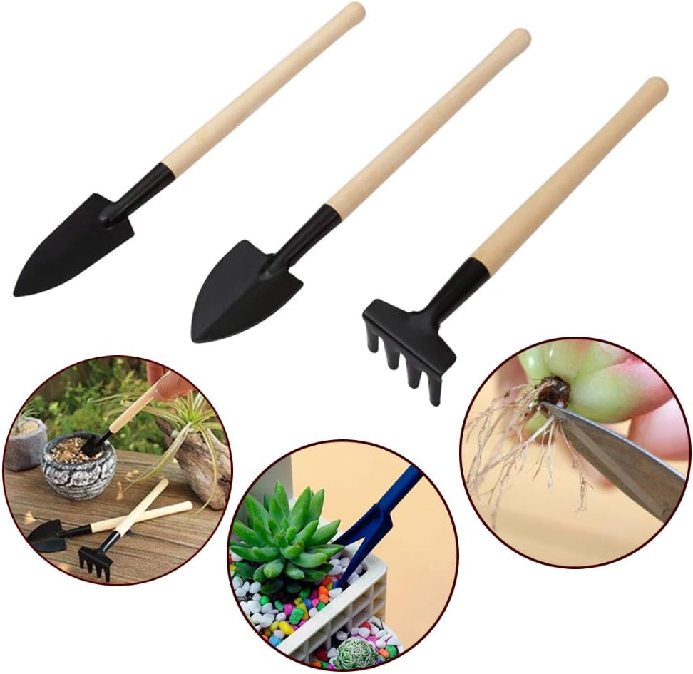 Juego de Herramientas para Jardín de Plantas Suculentas con Botella Pulverizadora y Accesorios para el Jardín de Plantas Suculentas
