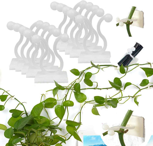Pinzas de Sujeción a la Pared Trepadoras - Prácticos Soportes para Plantas para la Decoración de Paredes Pinzas de Sujeción a la Pared Trepadoras