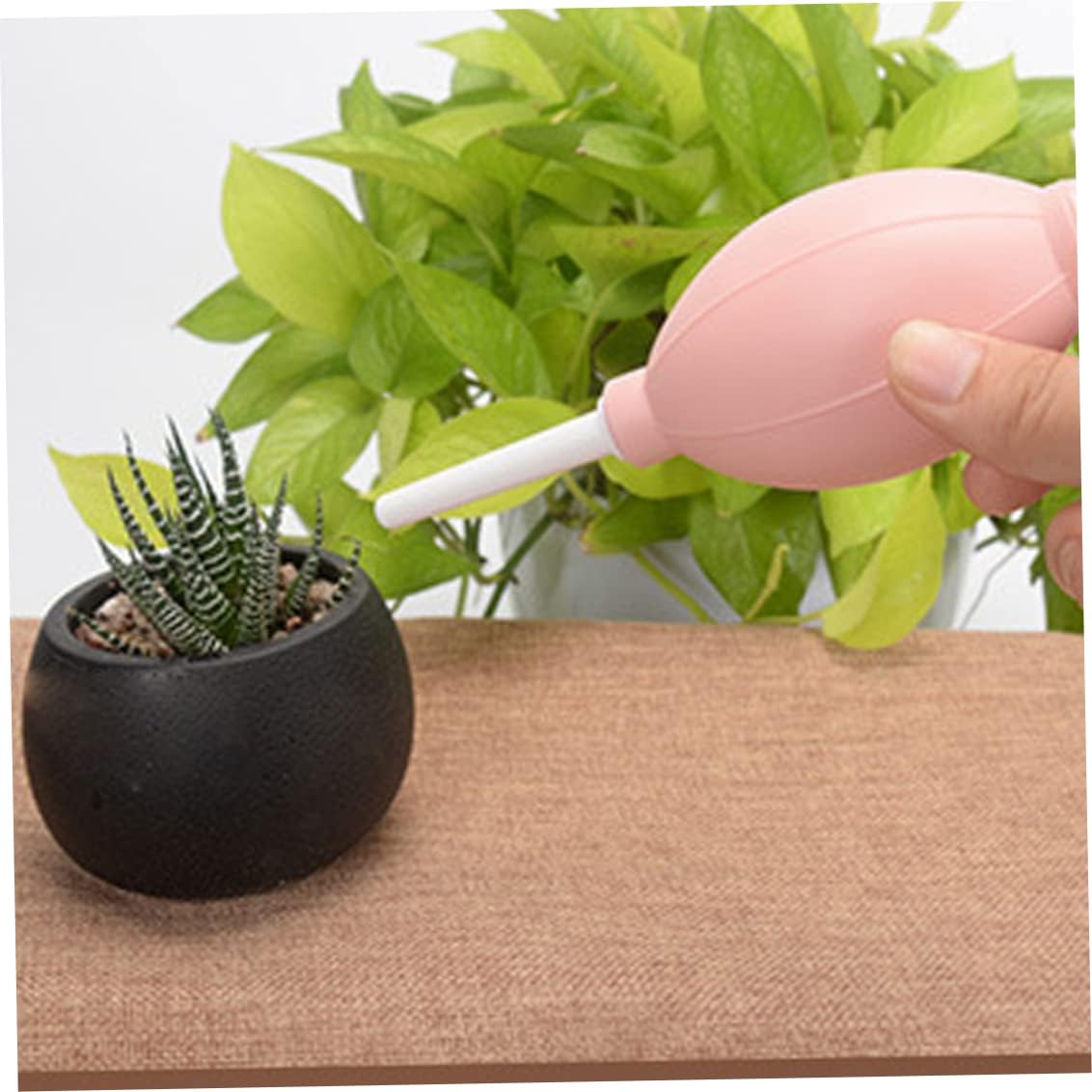 Set Combinado Para Herramientas De Plantación De Suculentas - Práctico Set Para El Cuidado Y La Plantación