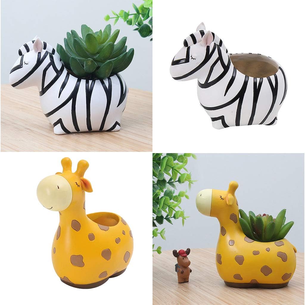 Maceteros de Animales - Divertidos Diseños de Animales para Suculentas y Cactus