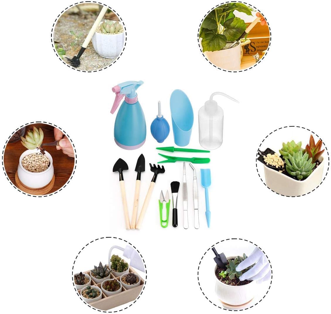 Juego de Herramientas para Jardín de Plantas Suculentas con Botella Pulverizadora y Accesorios para el Jardín de Plantas Suculentas