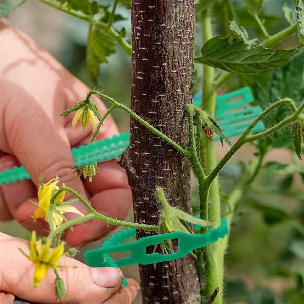 Juego de Bridas de Fijación para Plantas para una Fijación Estable de las Plantas