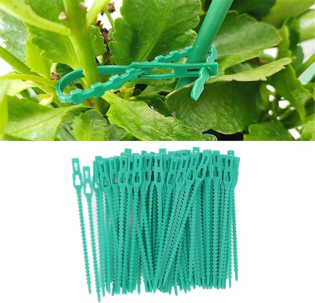 Juego de Bridas de Fijación para Plantas para una Fijación Estable de las Plantas