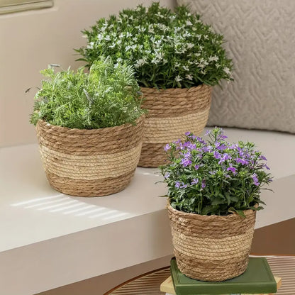 Cestas Decorativas Para Plantas Hechas De Hierba Marina En Un Set De 3 - Macetas Tejidas A Mano Con Inserción De Lámina