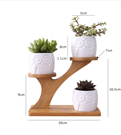 Macetero Decorativo de Madera - Macetas con Diseño de Búho para Suculentas y Plantas de Interior