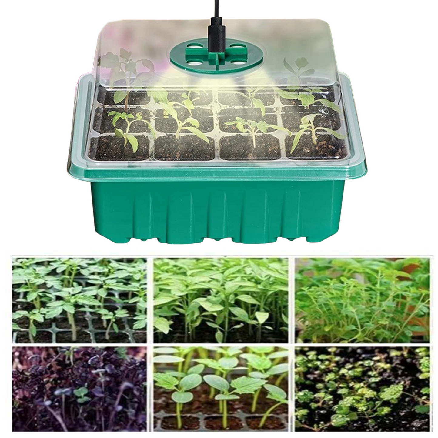Set De Cultivo Con Luz - Set Completo Para El Cultivo Exitoso De Plantas Set De Cultivo Con Luz