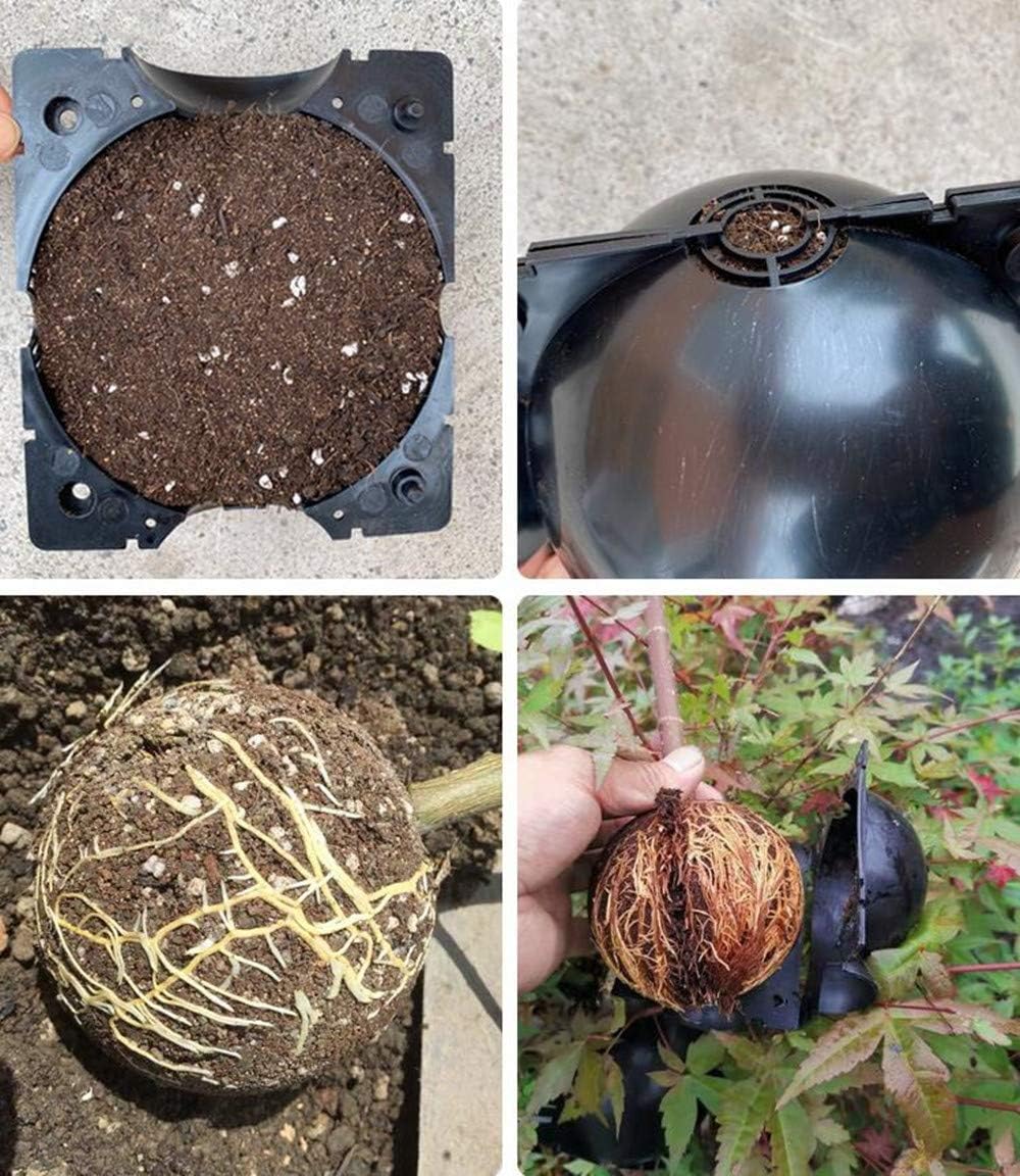 Bolas Protectoras De Plantas Para Raíces - Tapones Protectores Para Un Trasplante Y Crecimiento Seguros