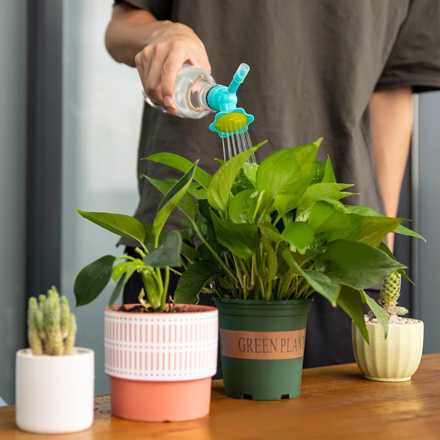 Pulverizador Para Plantas Con Forma De Flor Una Ayuda Creativa Para Regar Las Plantas Del Jardín Pulverizador Para Plantas Con Forma De Flor