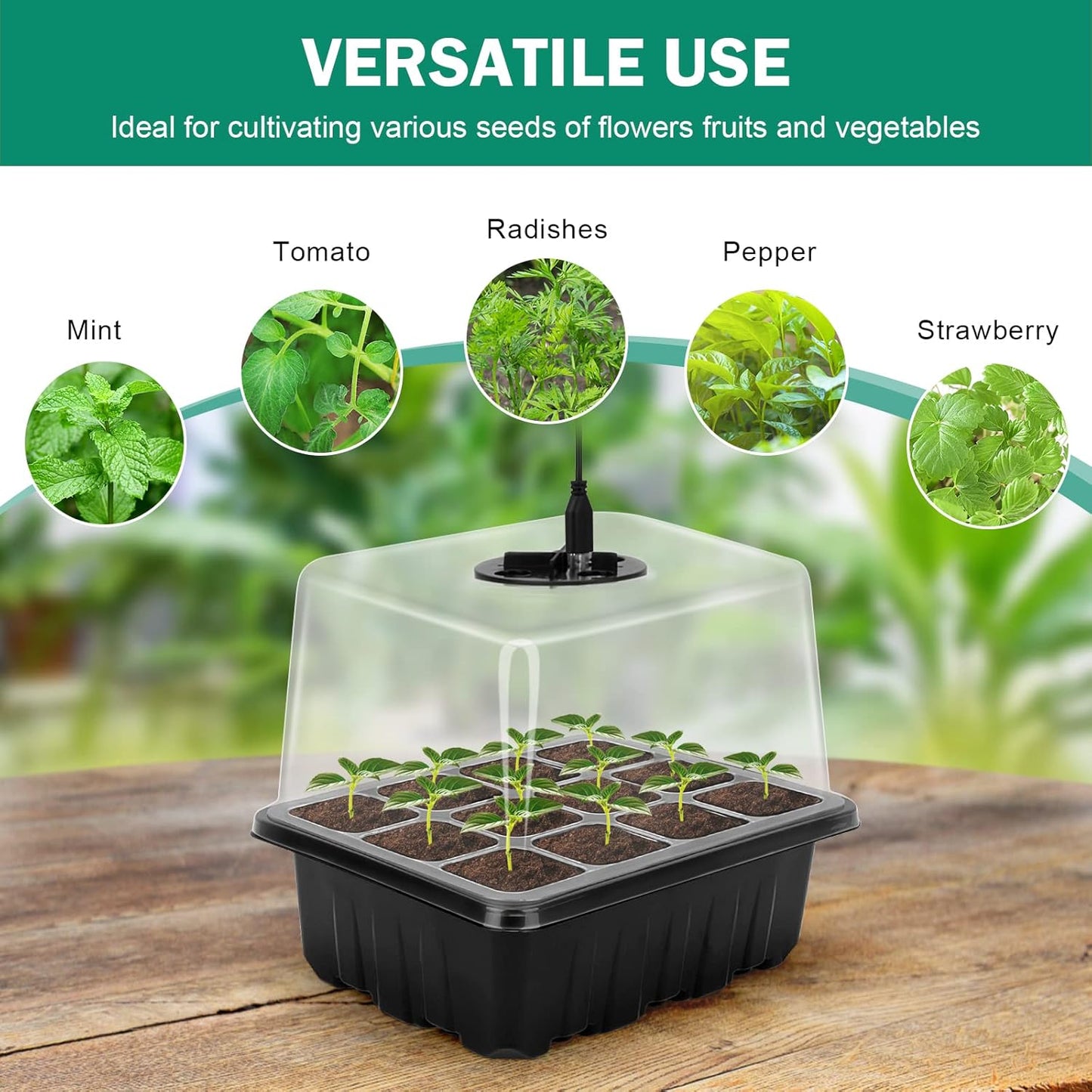 Set De Cultivo Con Luz - Set Completo Para El Cultivo Exitoso De Plantas Set De Cultivo Con Luz