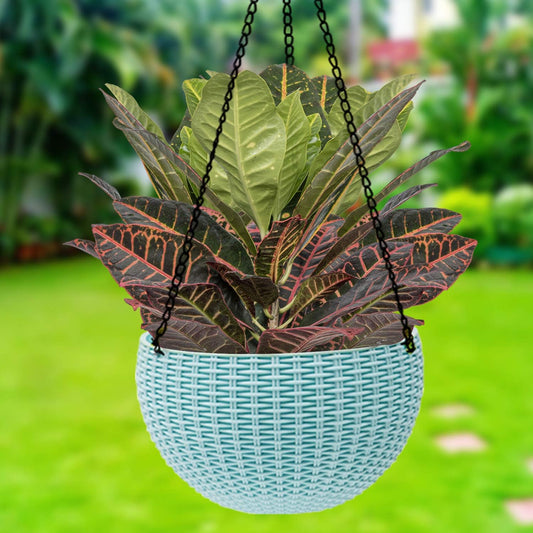 Cesto Colgante Tejido para Plantas con Cadena - Ideal para Balcón y Jardín