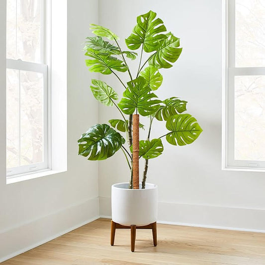 Palo De Musgo De Coco Para Plantas Trepadoras - Ayuda Natural Para Trepar Para Plantas De Interior Y Jardín