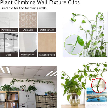 Pinzas de Sujeción a la Pared Trepadoras - Prácticos Soportes para Plantas para la Decoración de Paredes Pinzas de Sujeción a la Pared Trepadoras