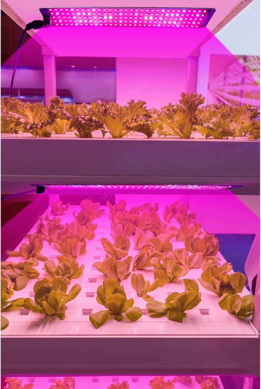 Panel De Luz Led Quantum Para Plantas Para Fomentar El Crecimiento Y El Color - Con Modo De Luz Regulable