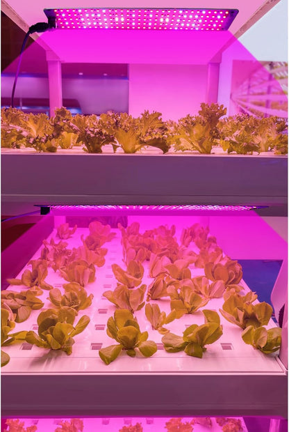 Panel De Luz Led Quantum Para Plantas Para Fomentar El Crecimiento Y El Color - Con Modo De Luz Regulable