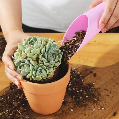 Pala De Plástico Para Plantar - Práctica Herramienta Para Mover Y Abonar Las Plantas Las Palas De Plástico Para Plantar Son Ideales Para Plantar Plantas