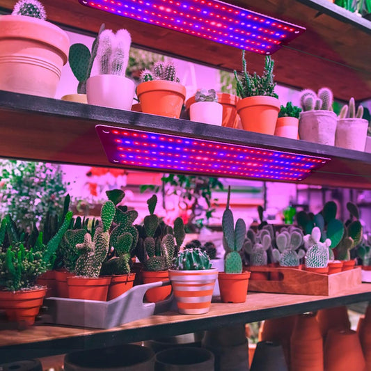 Panel De Luz Led Quantum Para Plantas Para Fomentar El Crecimiento Y El Color - Con Modo De Luz Regulable
