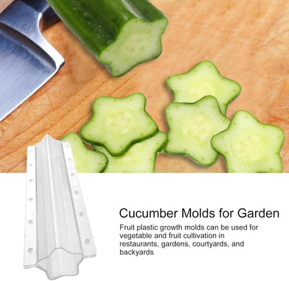 Molde De Verduras En Forma De Estrella Para Pepinos - Carril De Moldeo Creativo Para Frutas Y Verduras