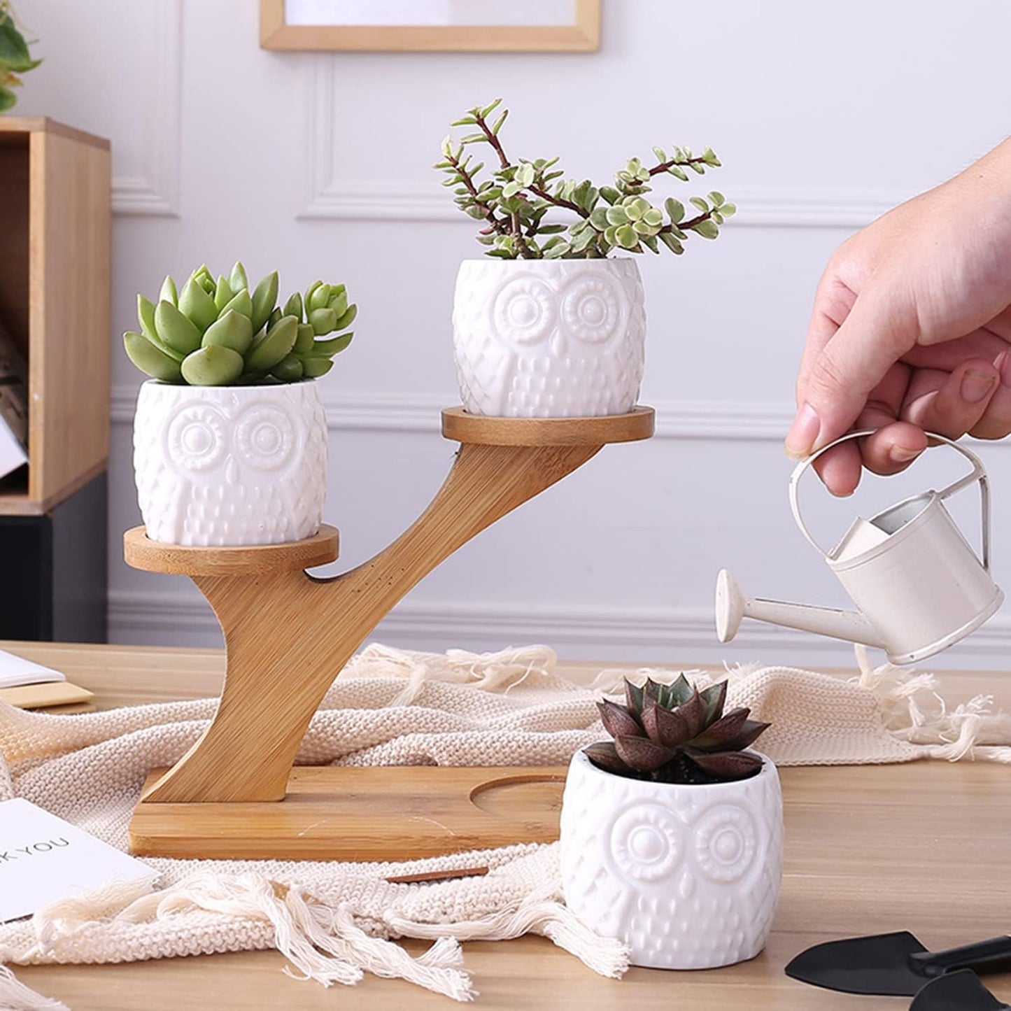 Macetero Decorativo de Madera - Macetas con Diseño de Búho para Suculentas y Plantas de Interior