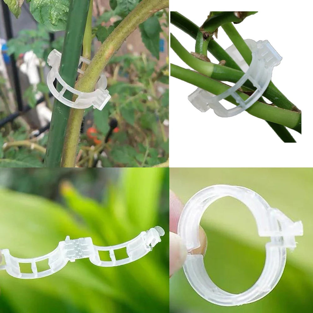 Pinza de Soporte para Plantas Trepadoras - Soporte Flexible para Tallos de Plantas Pinza de Soporte para Plantas Trepadoras
