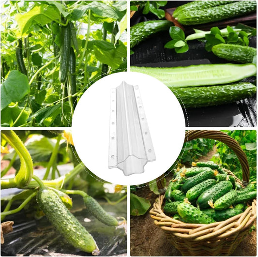 Molde De Verduras En Forma De Estrella Para Pepinos - Carril De Moldeo Creativo Para Frutas Y Verduras