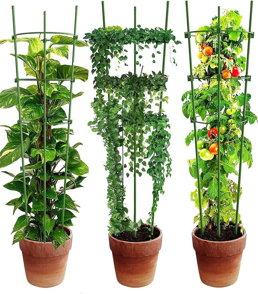 Armazón Trepador Para Plantas - Armazón De Anillas De Soporte Estable Para Plantas Trepadoras Armazón Trepador Para Plantas