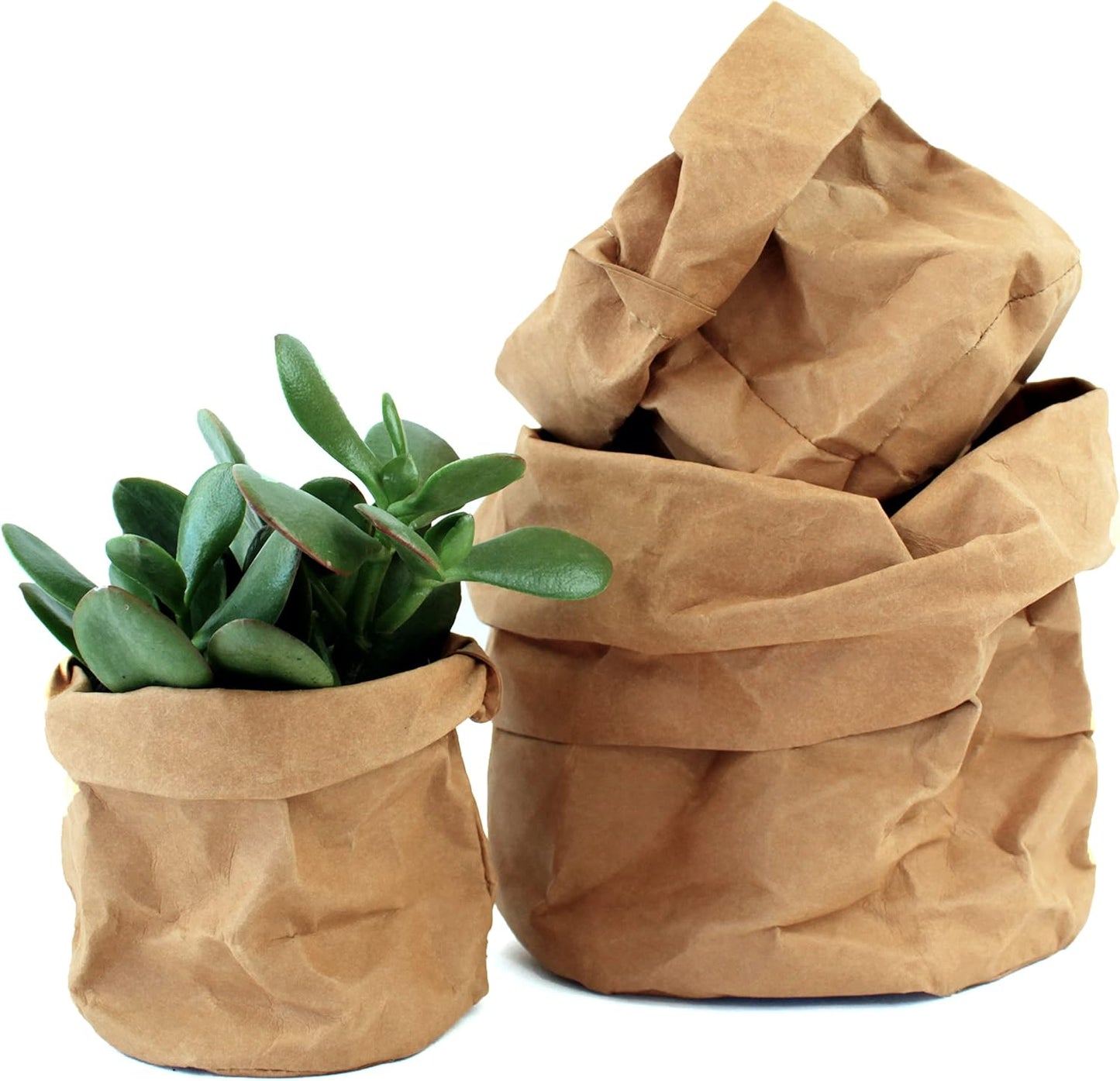Estilosos Maceteros de Papel para una Decoración Moderna los Maceteros de Papel para una Decoración Moderna
