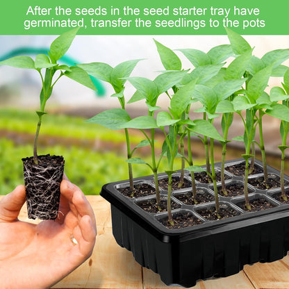 Set De Cultivo Con Luz - Set Completo Para El Cultivo Exitoso De Plantas Set De Cultivo Con Luz