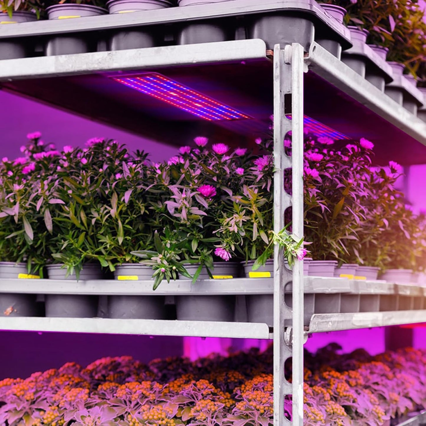 Panel De Luz Led Quantum Para Plantas Para Fomentar El Crecimiento Y El Color - Con Modo De Luz Regulable