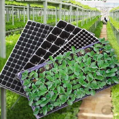 Bandeja para Semillas para una Germinación y Crecimiento Eficientes de las Plántulas Bandeja Rectangular para Plantas