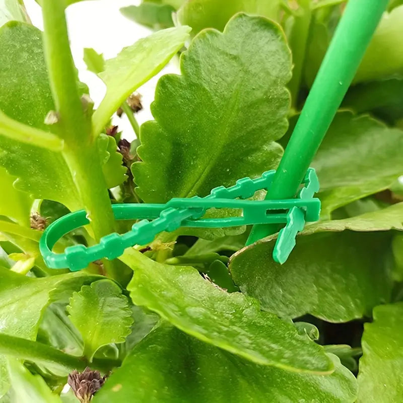 Juego de Bridas de Fijación para Plantas para una Fijación Estable de las Plantas