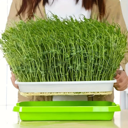 Bandejas de Germinación con Tapa - Bandeja de Semillas de Doble Capa para una Germinación Eficaz de las Semillas