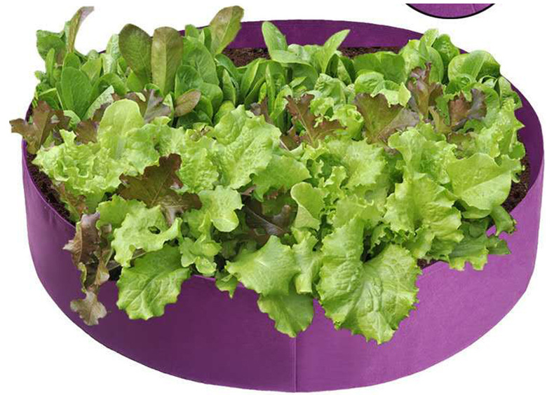 Bolsa Redonda Para El Crecimiento De Las Plantas - Contenedor De Jardín Para Facilitar El Crecimiento De Las Plantas Bolsa Redonda Para El Crecimiento De Las Plantas