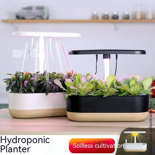 Sistema Hidropónico Inteligente Para Interior - Cultivo De Plantas Sin Tierra En Casa