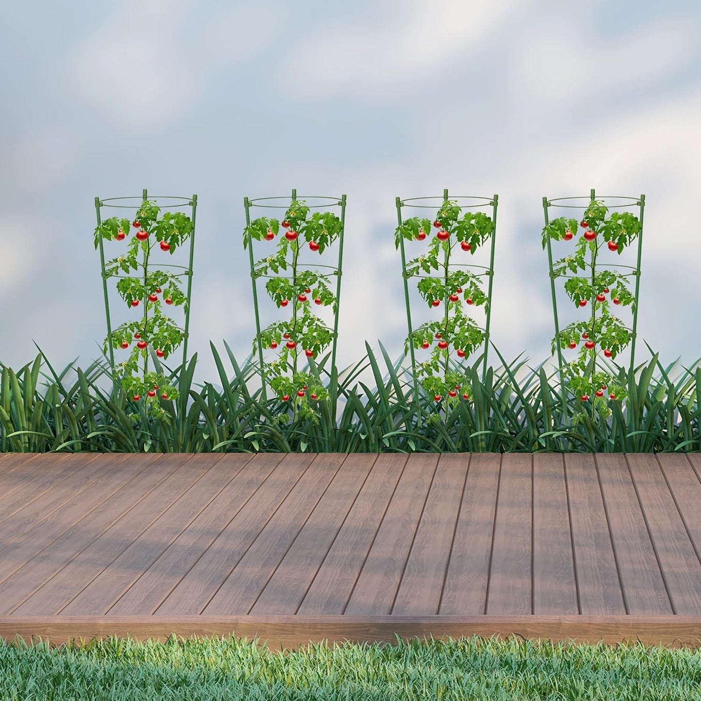 Armazón Trepador Para Plantas - Armazón De Anillas De Soporte Estable Para Plantas Trepadoras Armazón Trepador Para Plantas