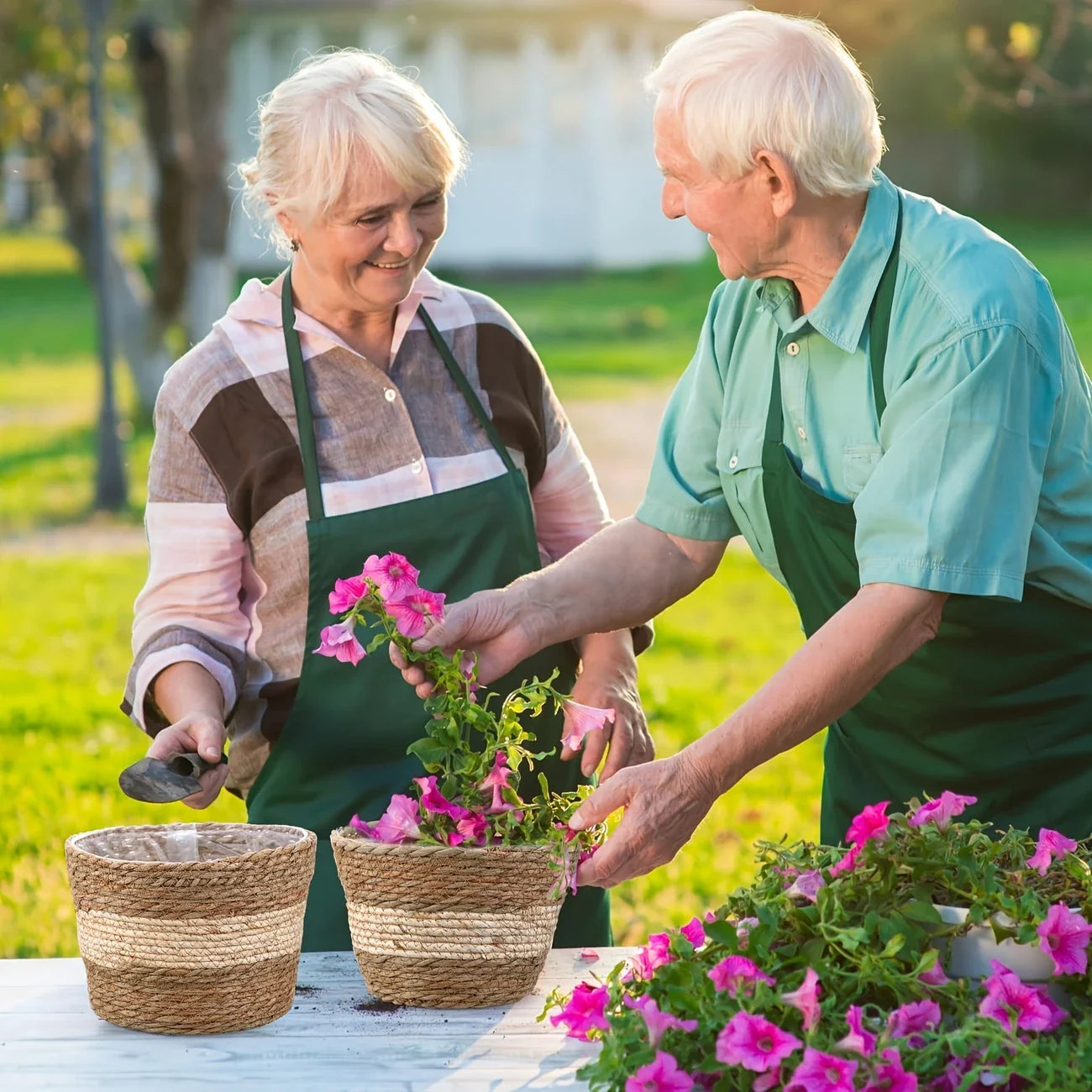 Cestas Decorativas Para Plantas Hechas De Hierba Marina En Un Set De 3 - Macetas Tejidas A Mano Con Inserción De Lámina