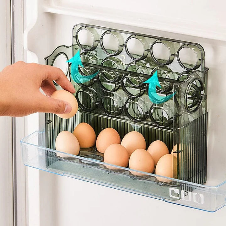 Práctico Organizador de Huevos