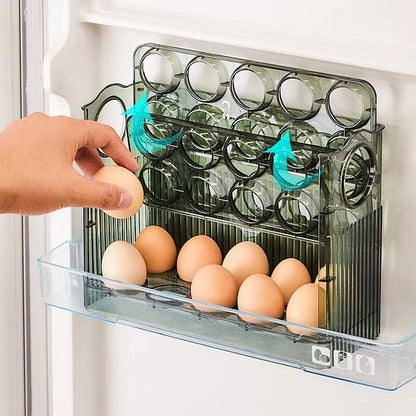 Práctico Organizador de Huevos