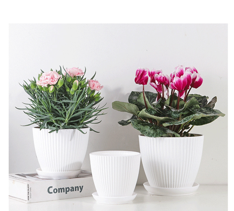 Maceta con Estructura Acanalada y Platillo - Maceta de Plástico Resistente para Plantas
