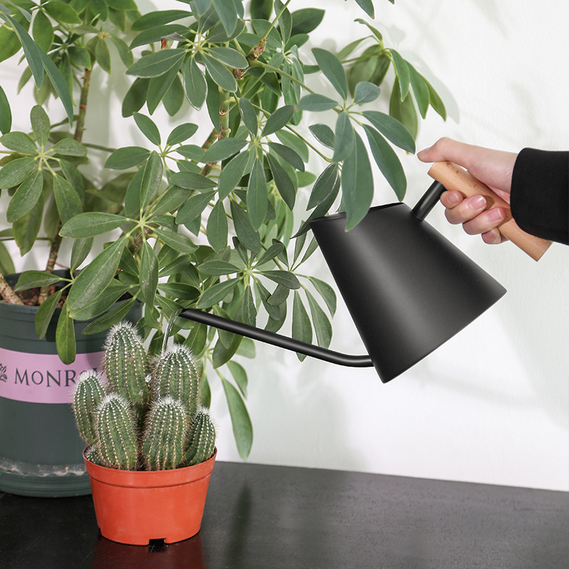 Moderna Regadera con Asa de Madera - Elegante Regadera para las Plantas Del Jardín Esta Regadera Es Ideal para Regar las Plantas Del Jardín