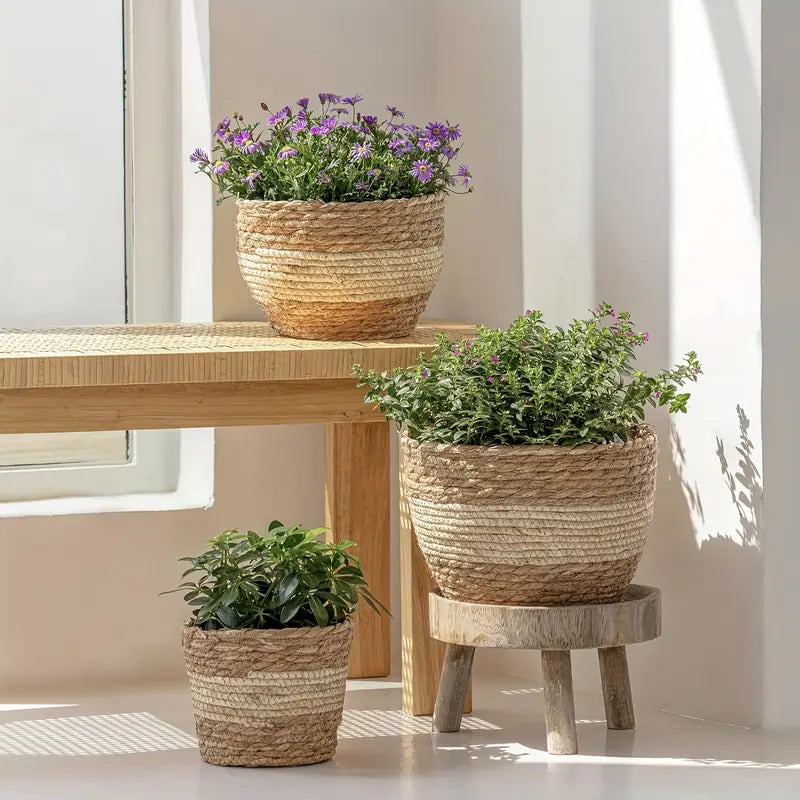 Cestas Decorativas Para Plantas Hechas De Hierba Marina En Un Set De 3 - Macetas Tejidas A Mano Con Inserción De Lámina