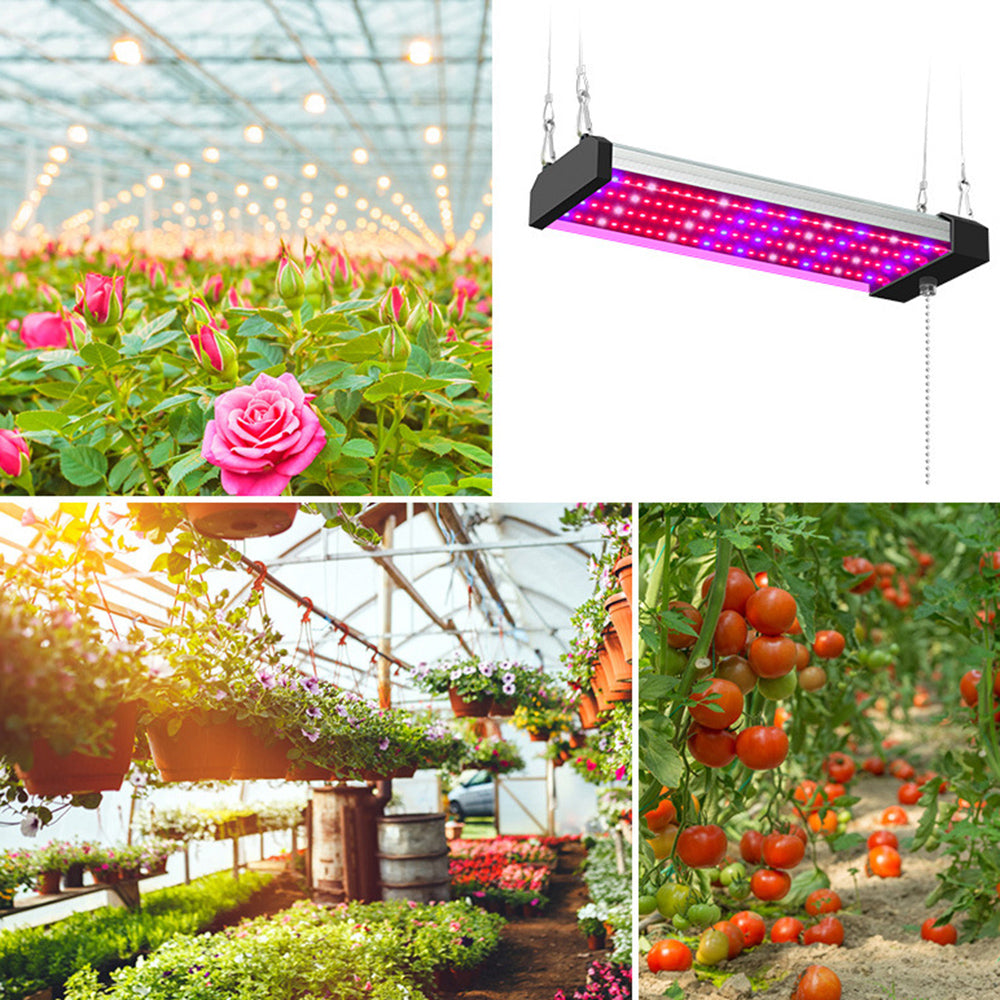 Lámpara Led Para Plantas Con Iluminación De Espectro Completo E Interruptor Pull Para Un Crecimiento Óptimo De Las Plantas