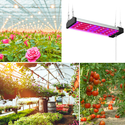 Lámpara Led Para Plantas Con Iluminación De Espectro Completo E Interruptor Pull Para Un Crecimiento Óptimo De Las Plantas