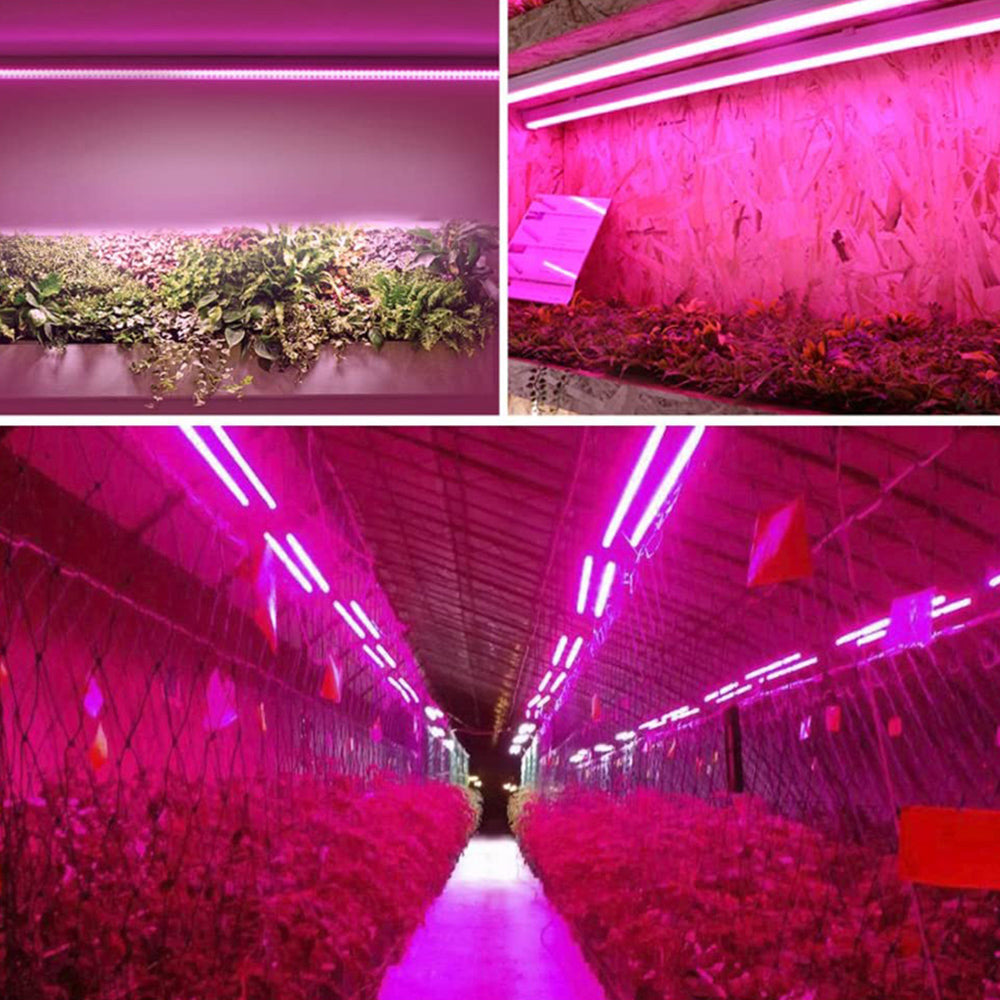 Lámpara Led Para Plantas Con Iluminación De Espectro Completo E Interruptor Pull Para Un Crecimiento Óptimo De Las Plantas