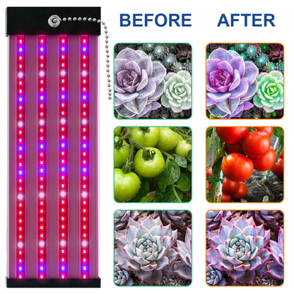 Lámpara Led Para Plantas Con Iluminación De Espectro Completo E Interruptor Pull Para Un Crecimiento Óptimo De Las Plantas