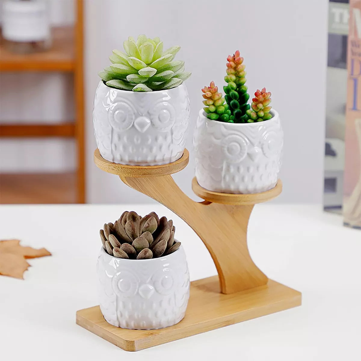 Macetero Decorativo de Madera - Macetas con Diseño de Búho para Suculentas y Plantas de Interior